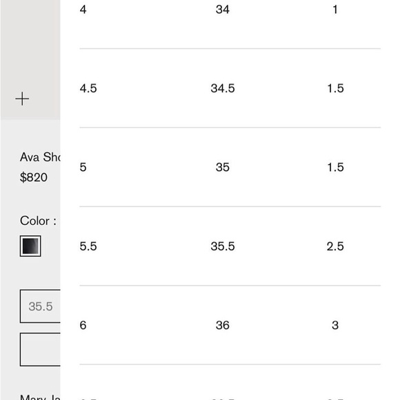 The Row Ava Mary Janes 
COLOR: Black
SIZING: 36.5 - Picture 10 of 10